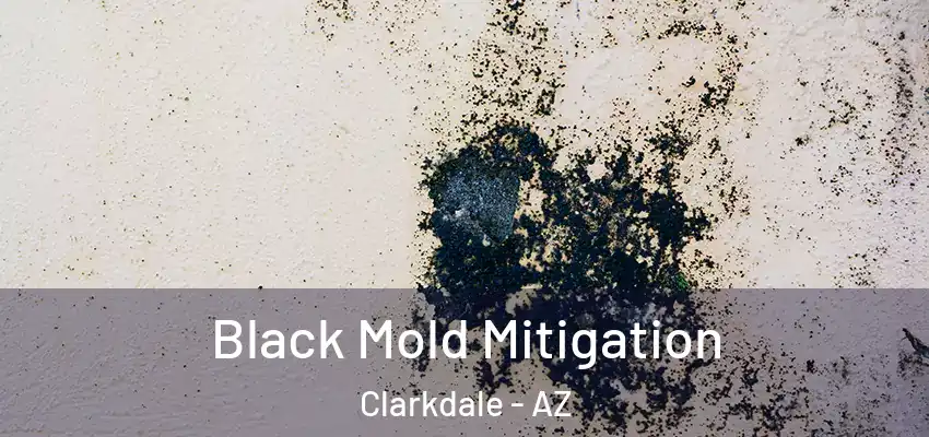  Black Mold Mitigation Clarkdale - AZ