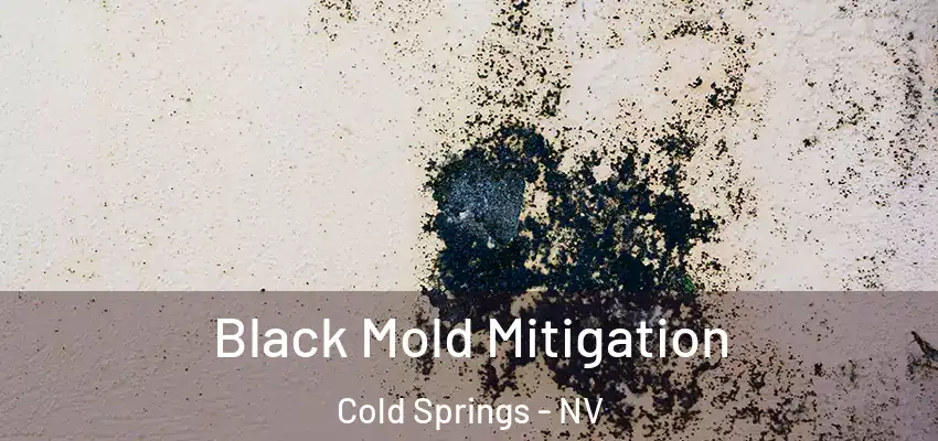  Black Mold Mitigation Cold Springs - NV