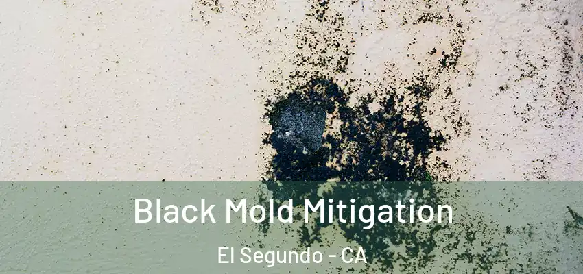 Black Mold Mitigation El Segundo - CA