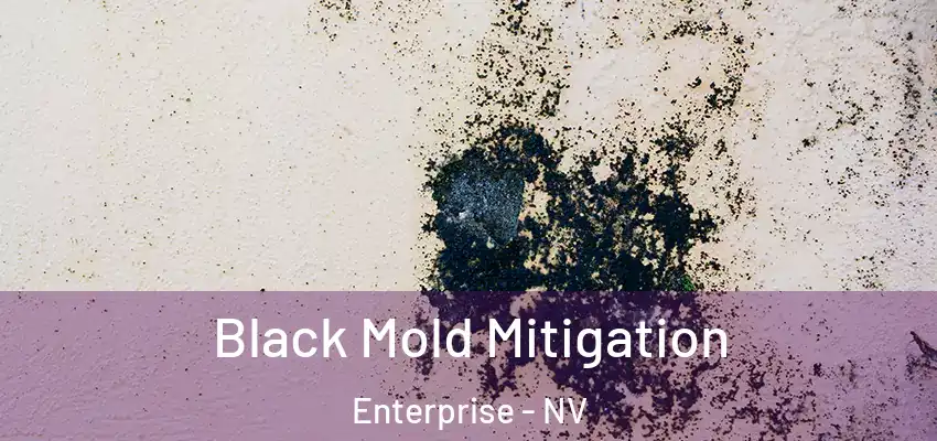 Black Mold Mitigation Enterprise - NV
