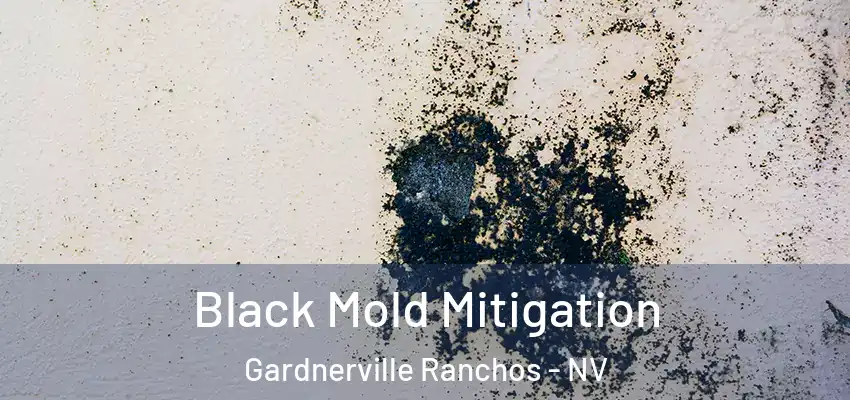  Black Mold Mitigation Gardnerville Ranchos - NV