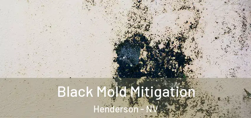  Black Mold Mitigation Henderson - NV