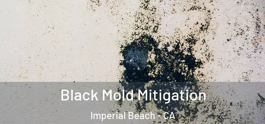  Black Mold Mitigation Imperial Beach - CA