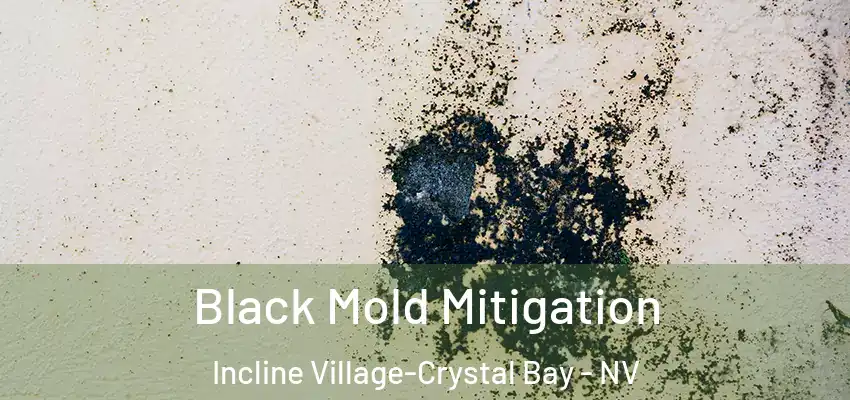 Black Mold Mitigation Incline Village-Crystal Bay - NV