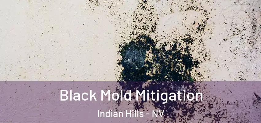  Black Mold Mitigation Indian Hills - NV