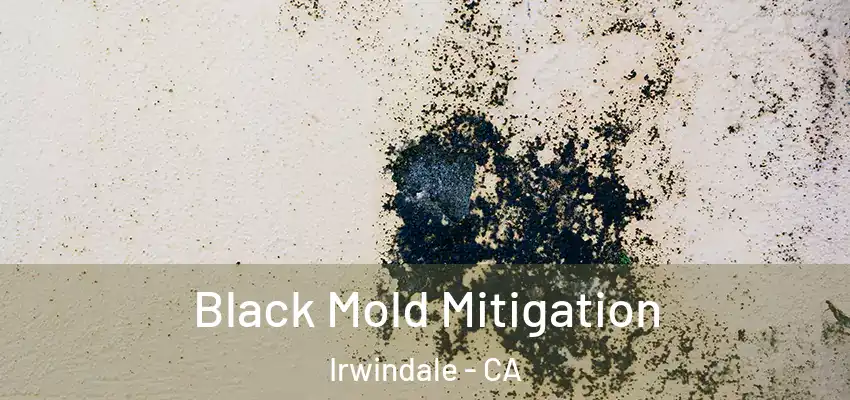 Black Mold Mitigation Irwindale - CA