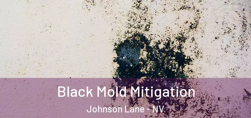  Black Mold Mitigation Johnson Lane - NV