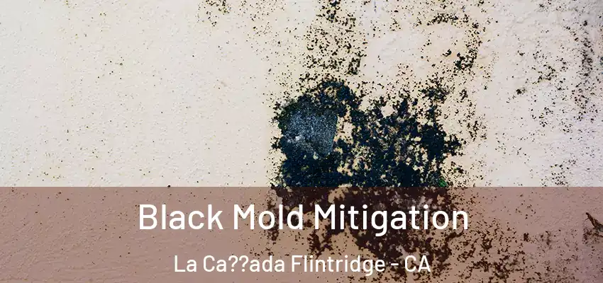 Black Mold Mitigation La Ca??ada Flintridge - CA