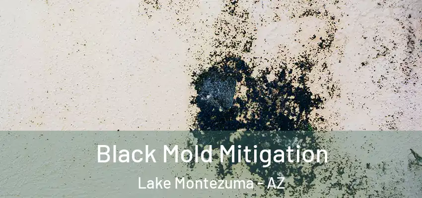  Black Mold Mitigation Lake Montezuma - AZ
