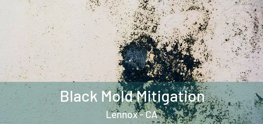 Black Mold Mitigation Lennox - CA