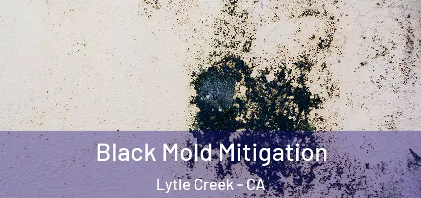  Black Mold Mitigation Lytle Creek - CA
