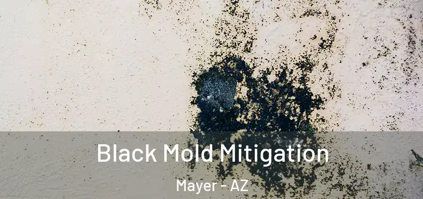  Black Mold Mitigation Mayer - AZ