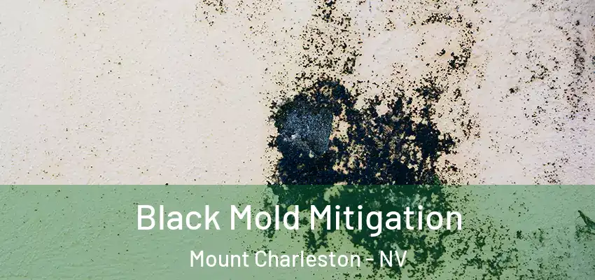 Black Mold Mitigation Mount Charleston - NV