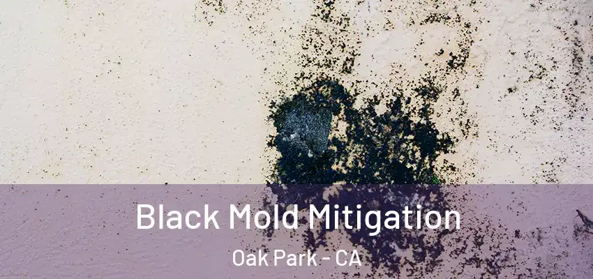  Black Mold Mitigation Oak Park - CA