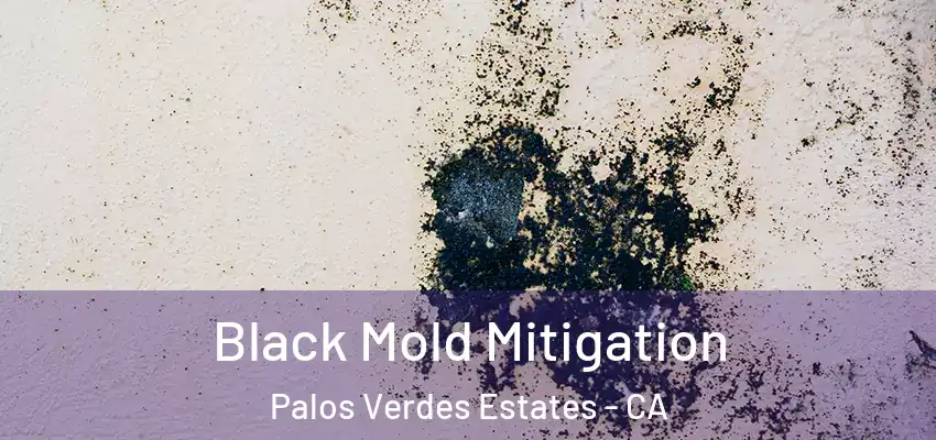 Black Mold Mitigation Palos Verdes Estates - CA