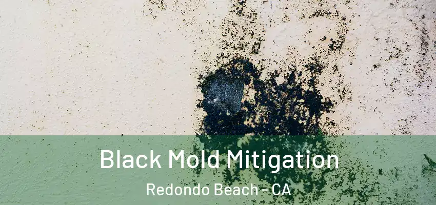  Black Mold Mitigation Redondo Beach - CA