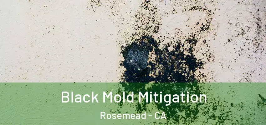 Black Mold Mitigation Rosemead - CA