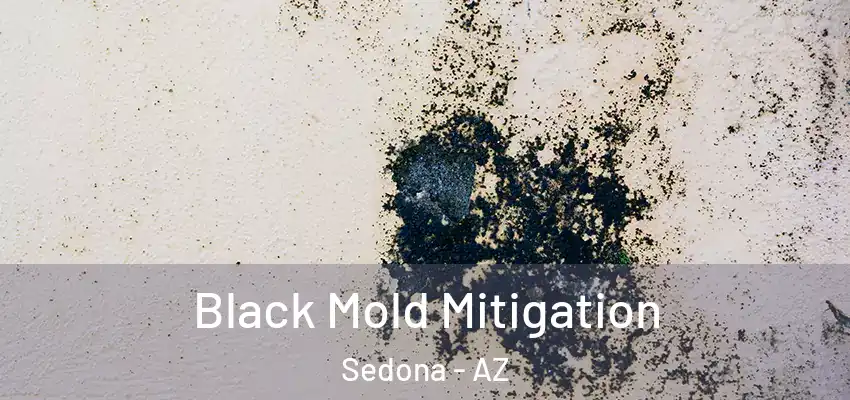 Black Mold Mitigation Sedona - AZ