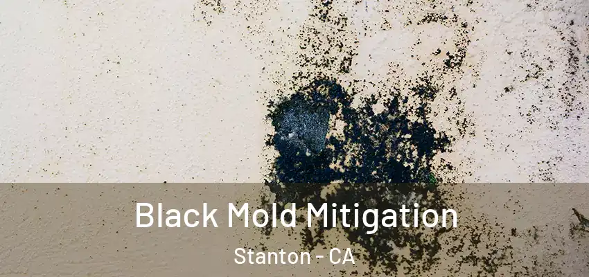 Black Mold Mitigation Stanton - CA