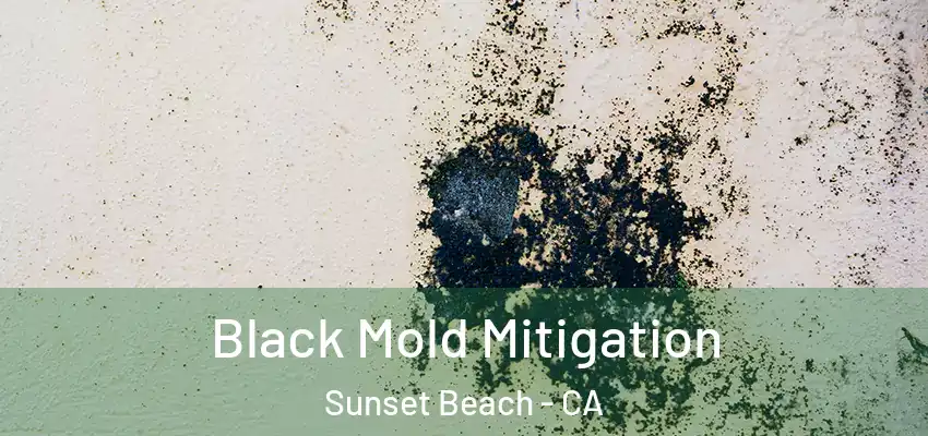 Black Mold Mitigation Sunset Beach - CA