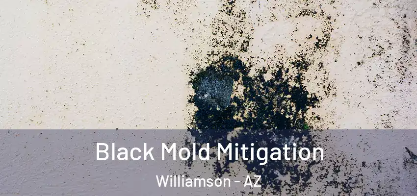  Black Mold Mitigation Williamson - AZ