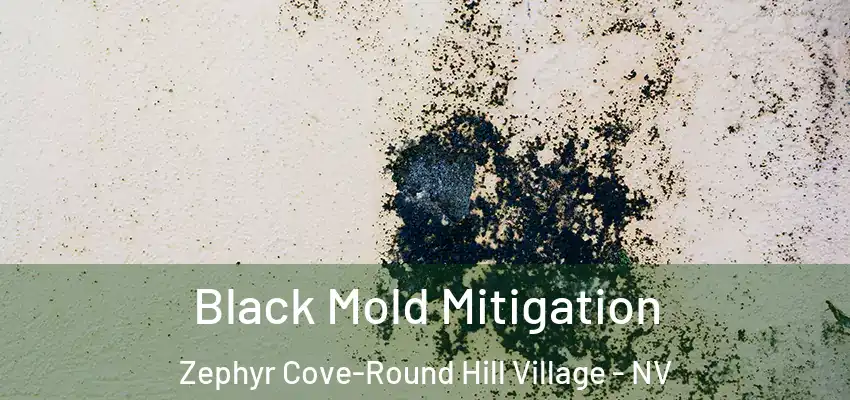 Black Mold Mitigation Zephyr Cove-Round Hill Village - NV