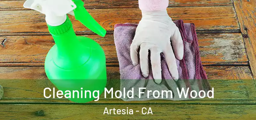 Cleaning Mold From Wood Artesia - CA