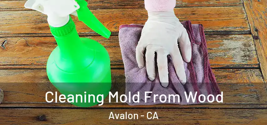  Cleaning Mold From Wood Avalon - CA