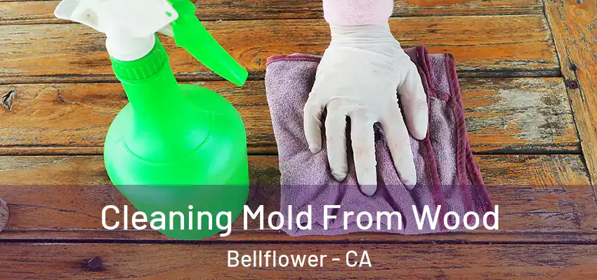  Cleaning Mold From Wood Bellflower - CA