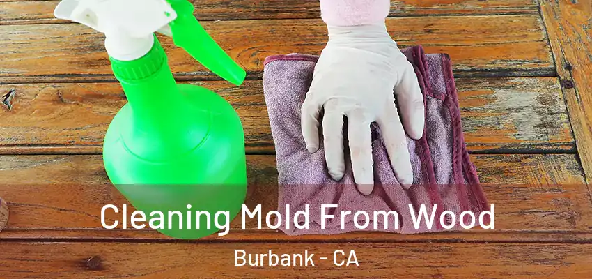  Cleaning Mold From Wood Burbank - CA