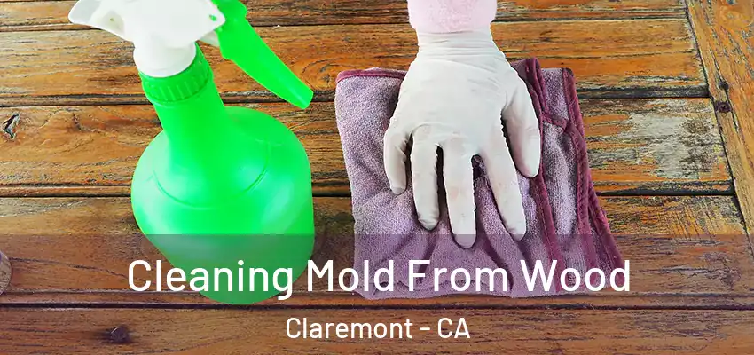  Cleaning Mold From Wood Claremont - CA