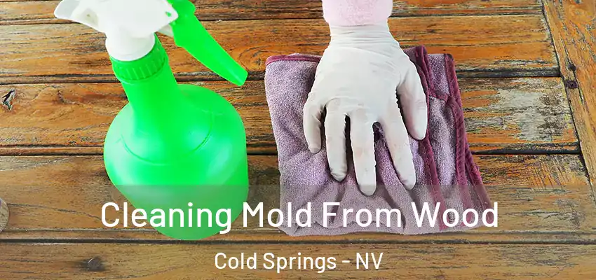 Cleaning Mold From Wood Cold Springs - NV