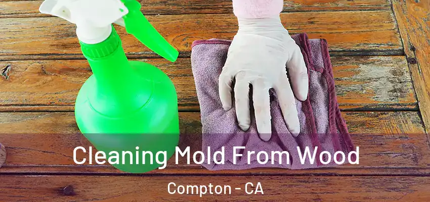  Cleaning Mold From Wood Compton - CA