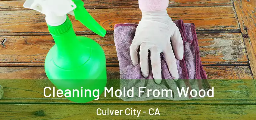 Cleaning Mold From Wood Culver City - CA