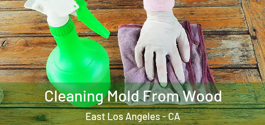 Cleaning Mold From Wood East Los Angeles - CA