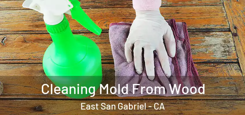 Cleaning Mold From Wood East San Gabriel - CA