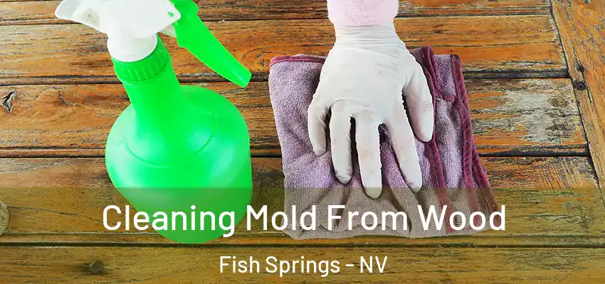 Cleaning Mold From Wood Fish Springs - NV
