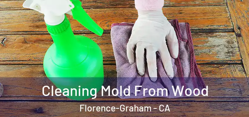 Cleaning Mold From Wood Florence-Graham - CA