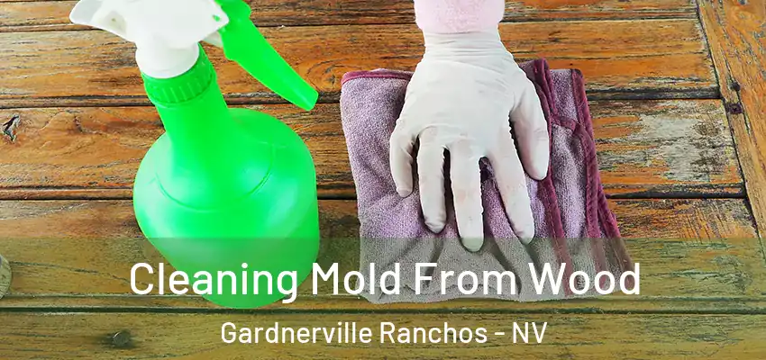  Cleaning Mold From Wood Gardnerville Ranchos - NV