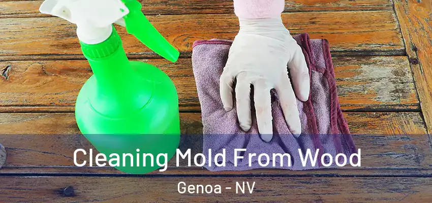  Cleaning Mold From Wood Genoa - NV