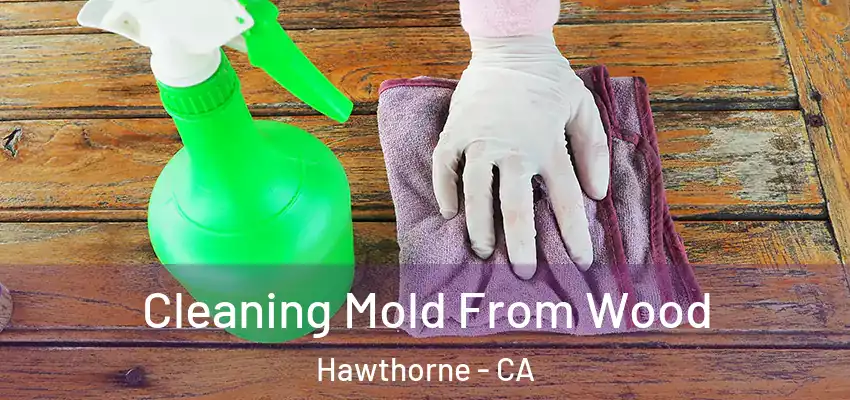  Cleaning Mold From Wood Hawthorne - CA