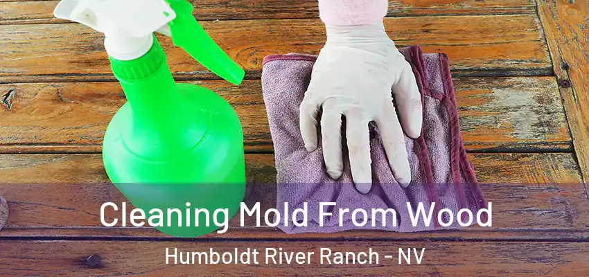 Cleaning Mold From Wood Humboldt River Ranch - NV