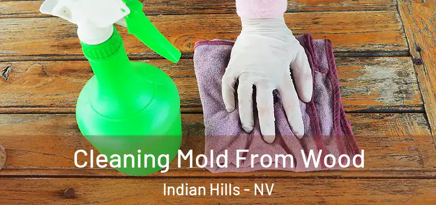 Cleaning Mold From Wood Indian Hills - NV