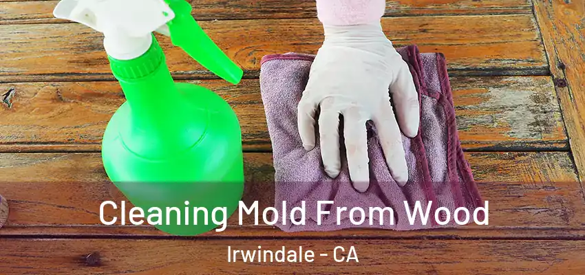  Cleaning Mold From Wood Irwindale - CA