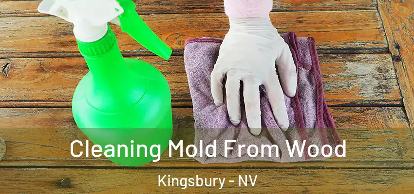 Cleaning Mold From Wood Kingsbury - NV