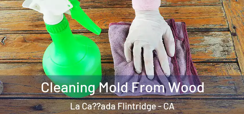 Cleaning Mold From Wood La Ca??ada Flintridge - CA