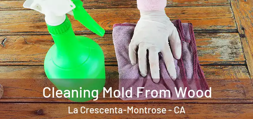 Cleaning Mold From Wood La Crescenta-Montrose - CA