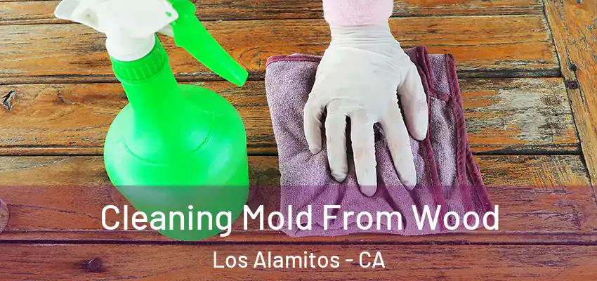  Cleaning Mold From Wood Los Alamitos - CA