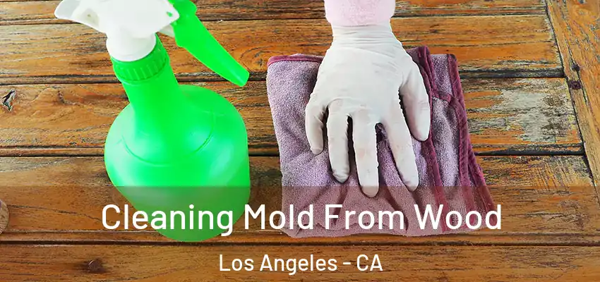  Cleaning Mold From Wood Los Angeles - CA