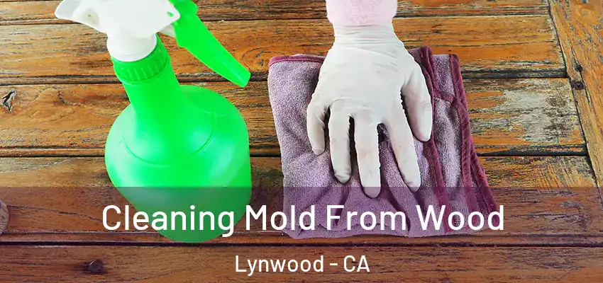  Cleaning Mold From Wood Lynwood - CA
